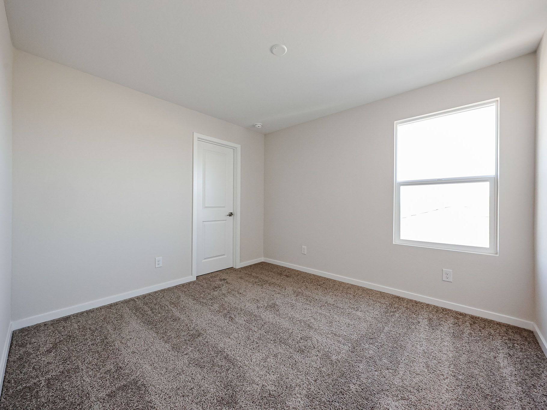 A room with a door and a carpet.