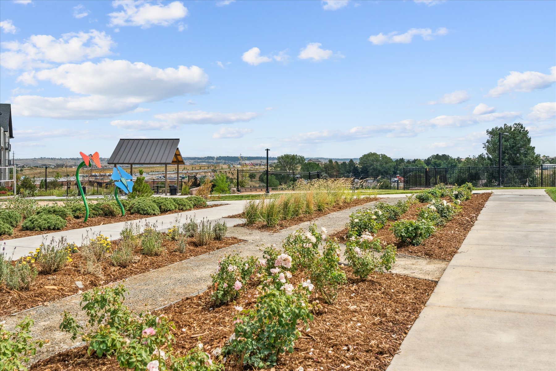 A garden with a sidewalk and a path.
