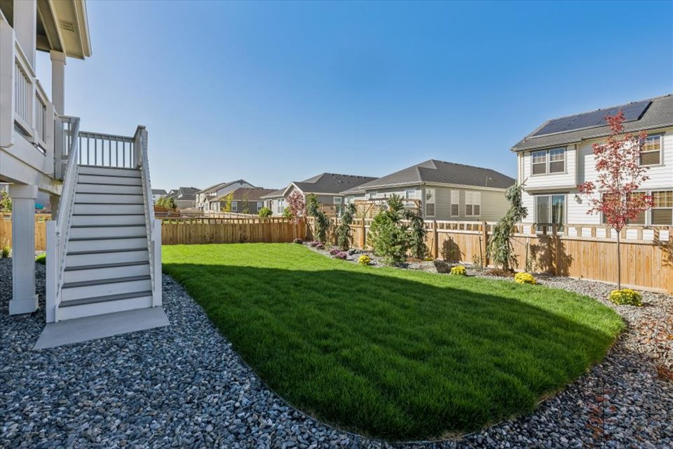 A small garden in a backyard.