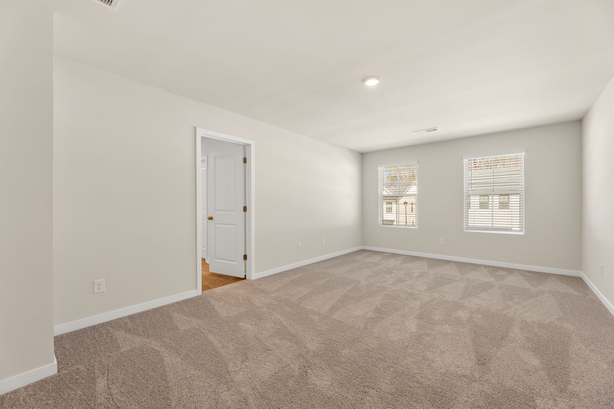 A hallway with a carpet.