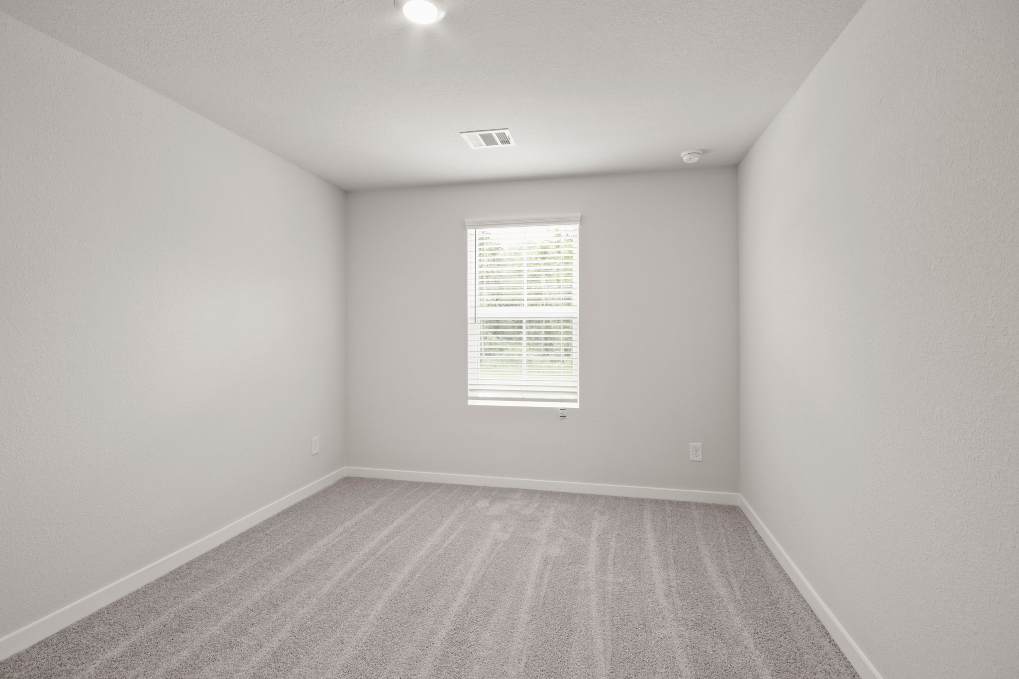 A room with a carpet and a window.