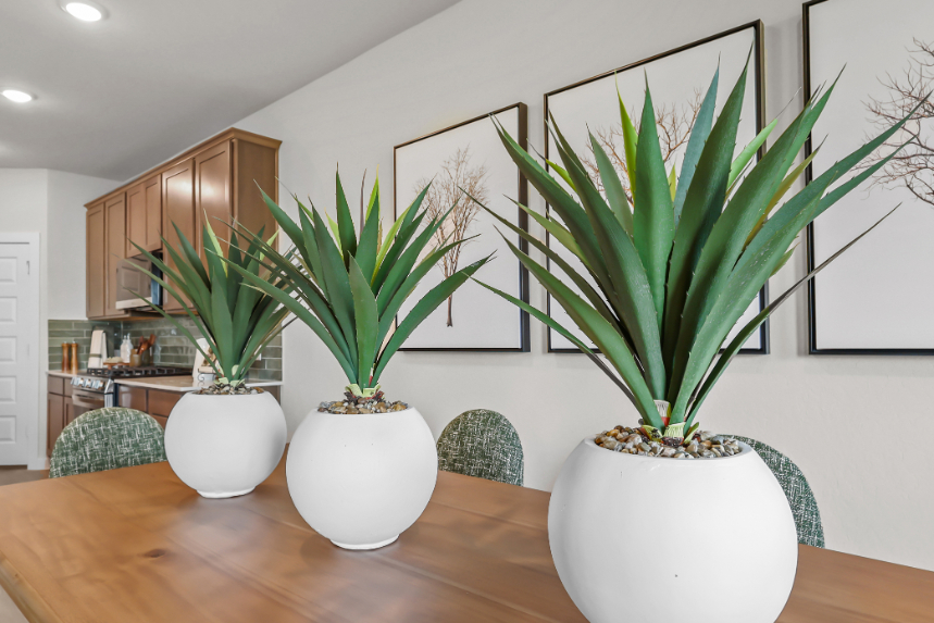 A group of potted plants on a table.