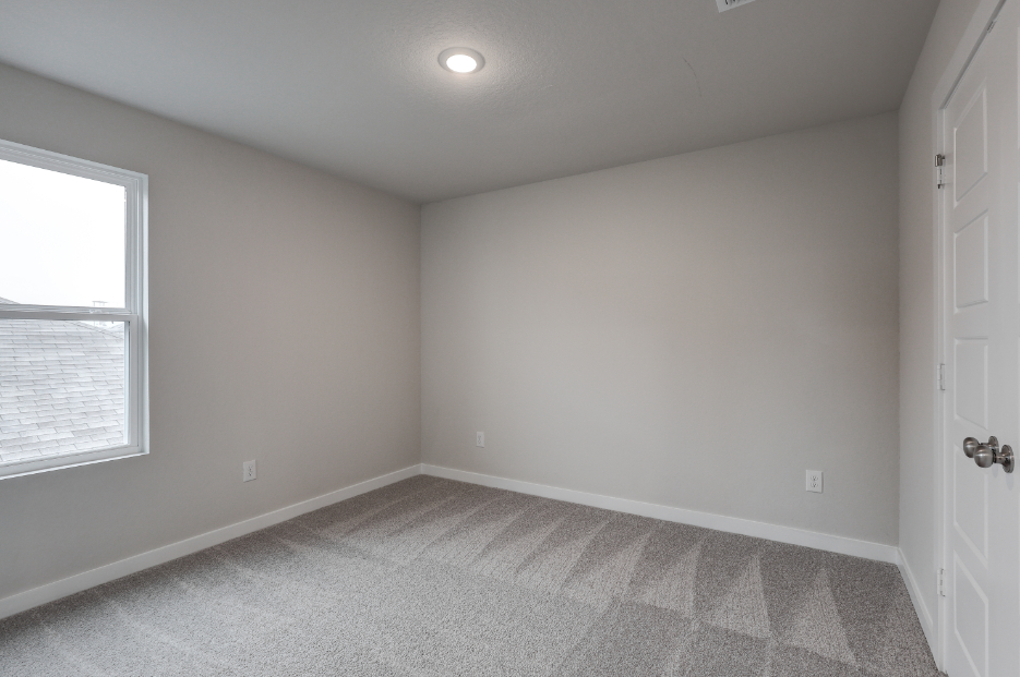 A room with a carpet and windows.